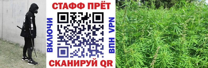 Где купить Реж СОЛЬ гидра как войти Псилоцибиновые грибы ГАШ Бошки Шишки КОКАИН Меф