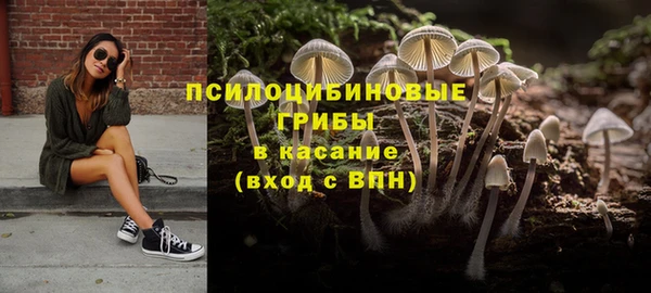 2c-b Аркадак